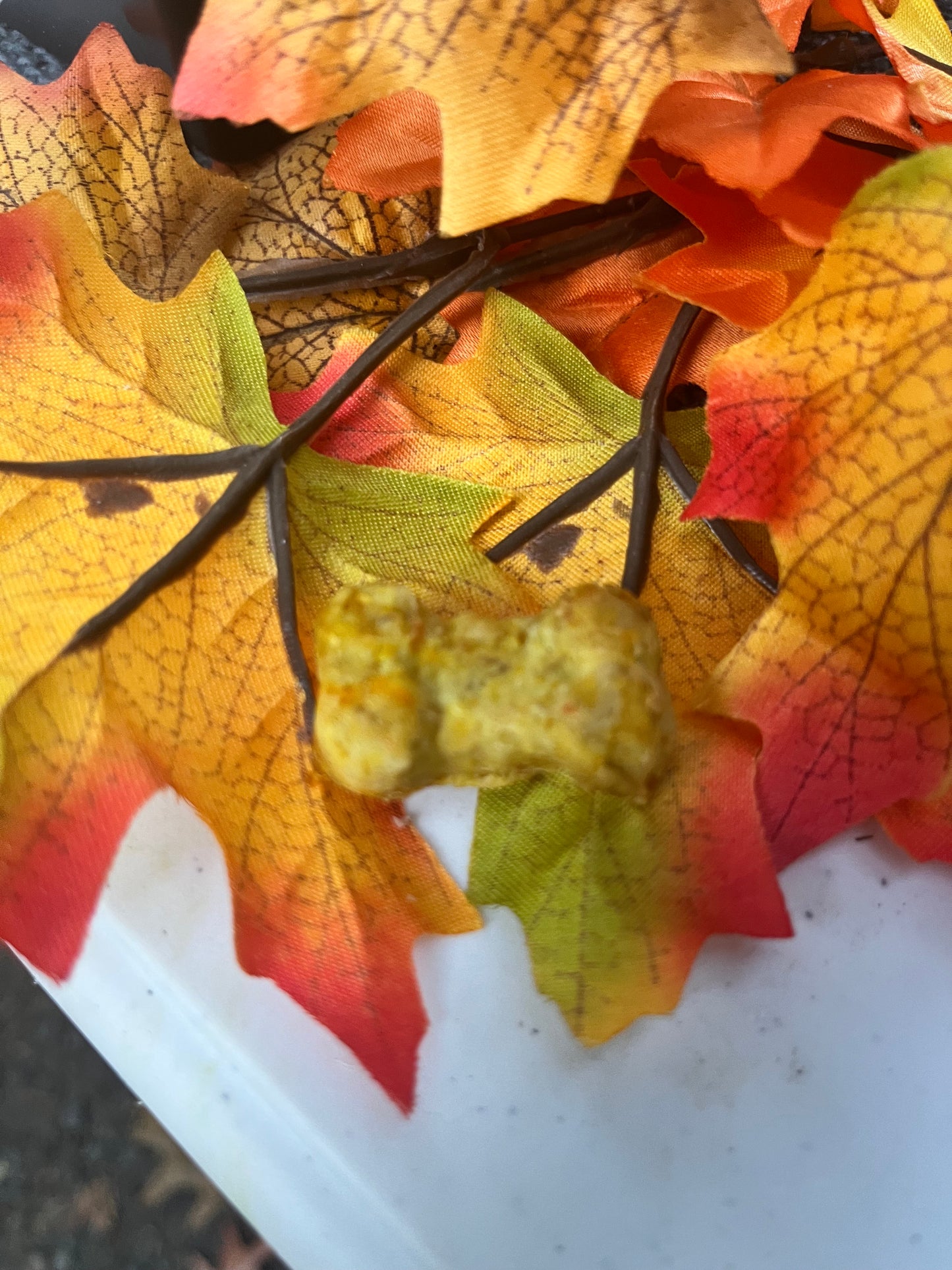 Golden Years Yummies - Soft-Baked White Fish Treats with Omega Support