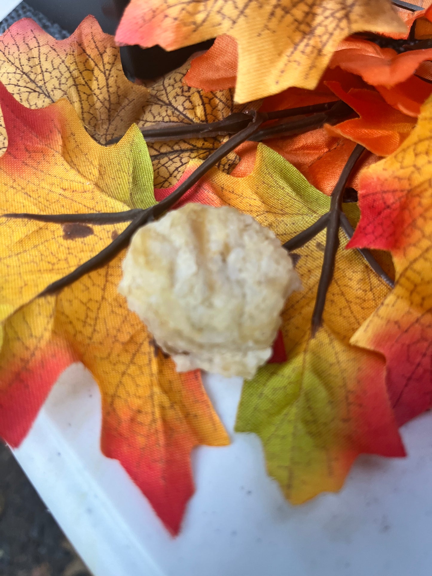Tender Tummy Treats - Gentle Chicken & Rice Treats for Sensitive Stomachs